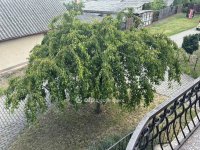 Eladó sorház, Hajdúszoboszlón 103.9 M Ft, 3+2 szobás