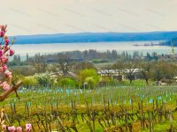 Eladó családi ház, Balatonfüreden 334 M Ft