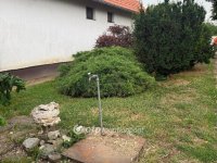 Eladó családi ház, Mezőberényben 28 M Ft, 3 szobás