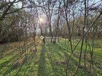 Eladó telek, Tóalmáson 17.9 M Ft / költözzbe.hu