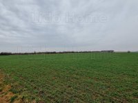 Eladó mezogazdasagi ingatlan, Fertőszéplakon 41.5 M Ft