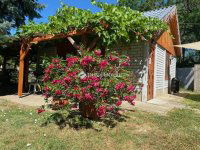 Eladó családi ház, Biatorbágyon 190 M Ft, 2 szobás