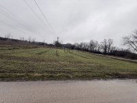 Eladó mezogazdasagi ingatlan, Baracskán 12.99 M Ft