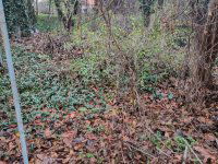 Eladó telek, Szigethalmon 14 M Ft / költözzbe.hu