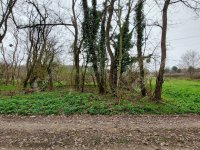 Eladó telek, Nemesbükön 5.99 M Ft / költözzbe.hu