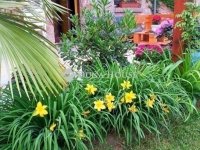 Eladó családi ház, Pogányon 109 M Ft, 2+4 szobás