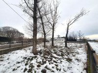 Eladó telek, Tiszakécskén 16 M Ft / költözzbe.hu