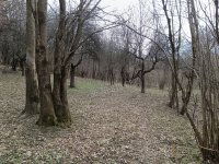 Eladó mezogazdasagi ingatlan, Pusztamagyaródon 9.9 M Ft