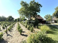 Eladó családi ház, Kecskeméten 54.9 M Ft, 2 szobás