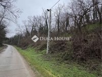 Eladó mezogazdasagi ingatlan, Látrányon 17 M Ft