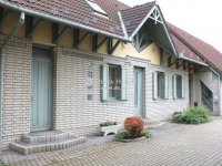 Eladó családi ház, Üllőn 285 M Ft, 12 szobás