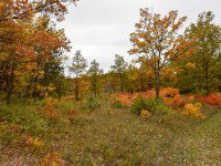 Eladó telek, Pécselyen 24.99 M Ft / költözzbe.hu