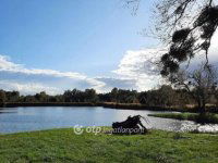 Eladó telek, Balatongyörökön 380 M Ft / költözzbe.hu
