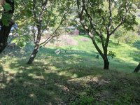 Eladó telek, Velencén 37 M Ft / költözzbe.hu