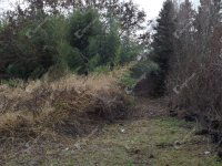 Eladó ipari ingatlan