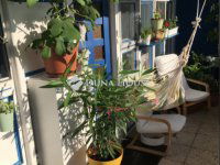 Eladó téglalakás, XII. kerületben 125 M Ft, 2 szobás