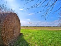 Eladó mezogazdasagi ingatlan, Forráskúton 26.9 M Ft, 3 szobás
