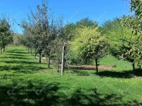 Eladó nyaraló, Pacsán 15.9 M Ft, 1 szobás / költözzbe.hu