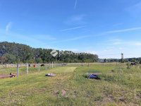 Eladó telek, Dorogon 224 M Ft / költözzbe.hu