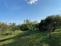 Eladó telek, Etyeken 49 M Ft / költözzbe.hu