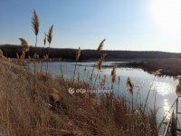 Eladó mezogazdasagi ingatlan, Úrin 60 M Ft / költözzbe.hu
