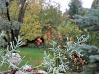 Eladó telek, Telkin 160 M Ft / költözzbe.hu