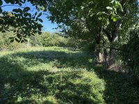 Eladó családi ház, Nagyalásonyon 19.5 M Ft, 3 szobás