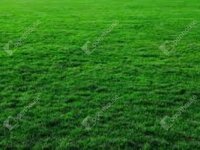Eladó telek, Zamárdiban 24.9 M Ft / költözzbe.hu