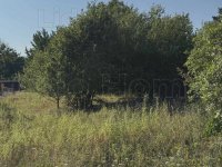 Eladó telek, Balatonkenesén 32 M Ft / költözzbe.hu