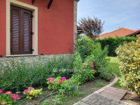 Eladó családi ház, Zamárdiban 250 M Ft, 5 szobás