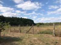 Eladó telek, Lajosmizsén 200 M Ft / költözzbe.hu