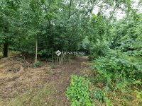 Eladó telek, Tóalmáson 7 M Ft / költözzbe.hu