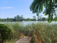 Eladó nyaraló, Ráckevén 17 M Ft, 1 szobás