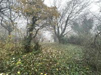 Eladó telek, Mogyoródon 16.9 M Ft / költözzbe.hu