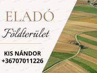 Eladó mezogazdasagi ingatlan, Lajosmizsén 2.9 M Ft