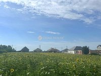 Eladó telek, Kartalon 38 M Ft / költözzbe.hu