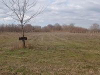 Eladó mezogazdasagi ingatlan