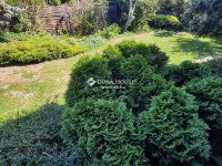 Eladó ikerház, Maglódon 145 M Ft, 3 szobás