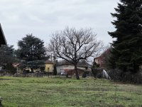 Eladó telek, XVII. kerületben 210 M Ft / költözzbe.hu