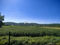 Eladó családi ház, Lovásziban 35 M Ft, 4 szobás