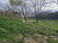 Eladó mezogazdasagi ingatlan, Hosszúhetényen 95 M Ft, 3 szobás