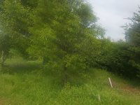 Eladó telek, Pécsett 8.5 M Ft / költözzbe.hu