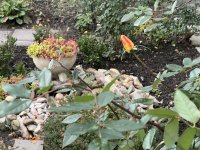 Eladó panellakás, Algyőn 47.5 M Ft, 1+1 szobás