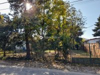 Eladó telek, Mogyoródon, Középső Homoki utcában 65 M Ft