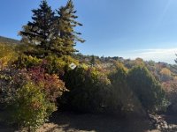 Eladó családi ház, Pécsett 99.9 M Ft, 1 szobás