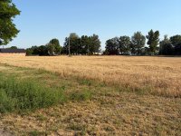 Eladó telek, Dabason 18 M Ft / költözzbe.hu