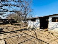 Eladó mezogazdasagi ingatlan, Pilisen 81.9 M Ft, 4 szobás