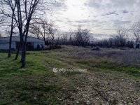 Eladó mezogazdasagi ingatlan, Rémen 14.9 M Ft