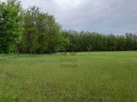 Eladó mezogazdasagi ingatlan