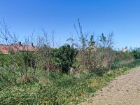 Eladó telek, Egyeken 1.2 M Ft / költözzbe.hu